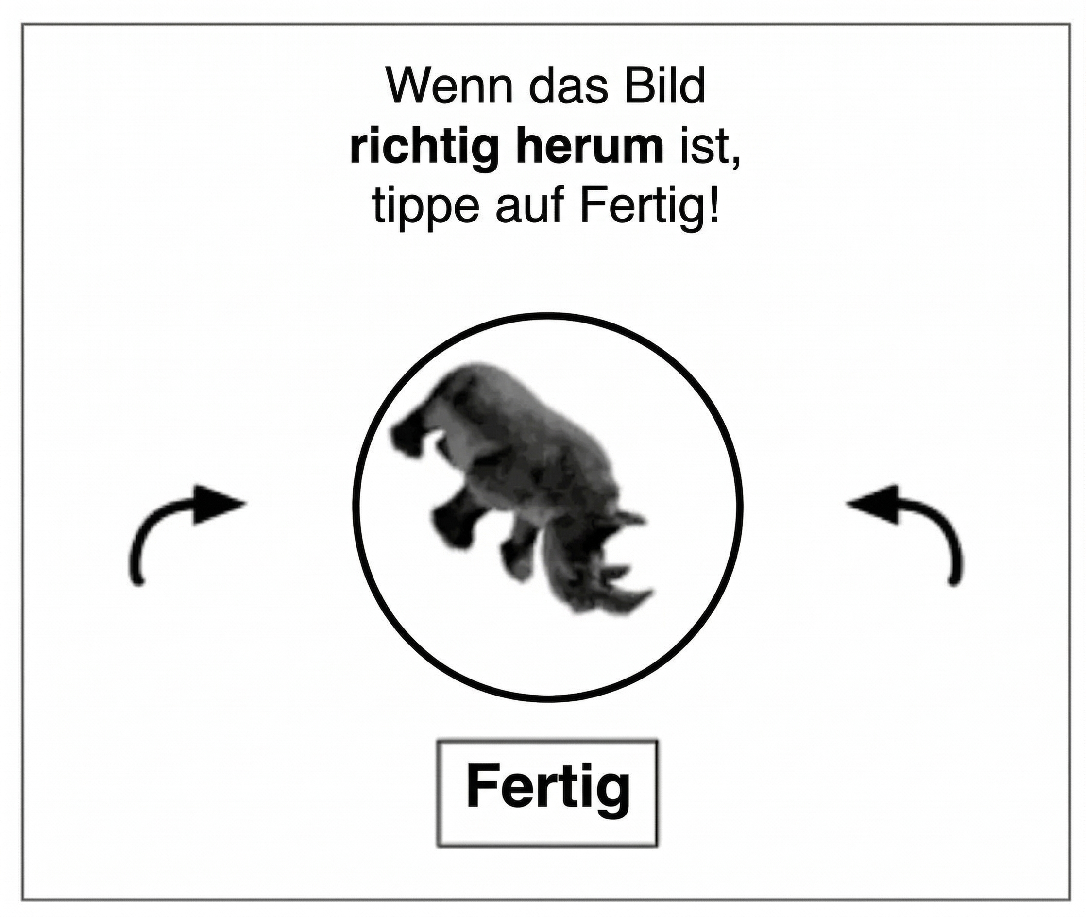 Rotate CAPTCHAs erscheinen plattform- und sprachübergreifend, auch wenn Sie UGC Creator finden wollen. Die Herausforderung: Einen Schieberegler ziehen, bis das Bild stimmt. Einfach für Menschen, brutal für Bots.