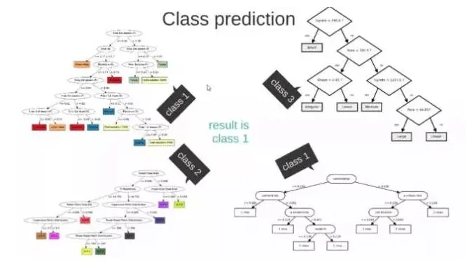 class prediction
