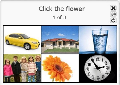 image-based captcha