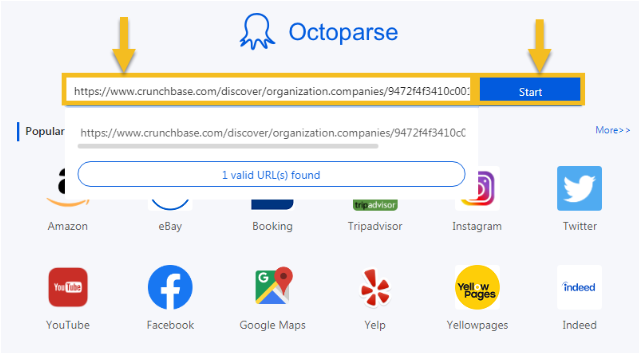 scrape crunchbase with octoparse