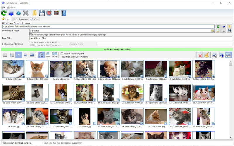 bulk image downloader