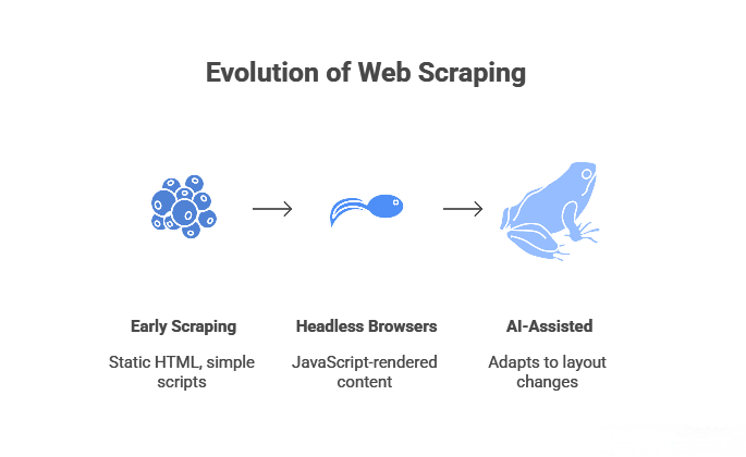early stages of web scraping process