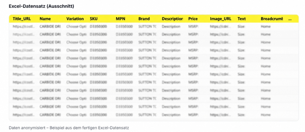 spreadsheet of more than 50,000 scraped product records delivered in Excel