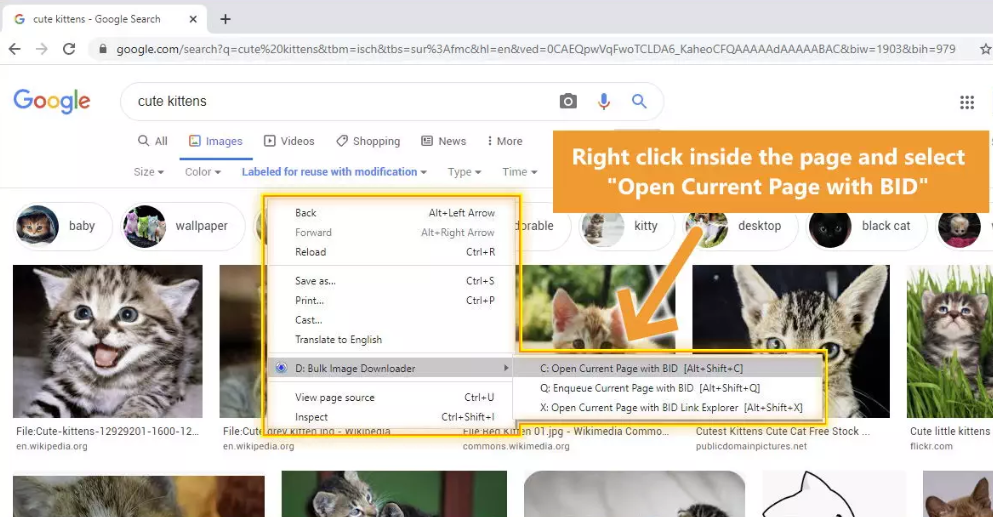 télécharger toutes les images d'un site, telecharger image a partir d'un lien, télécharger toutes les images d'une page web, telecharger image avec lien, telechargeur d'image
