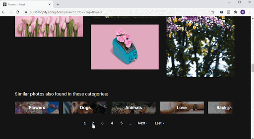 4 façons effectives pour extraire image d'un site