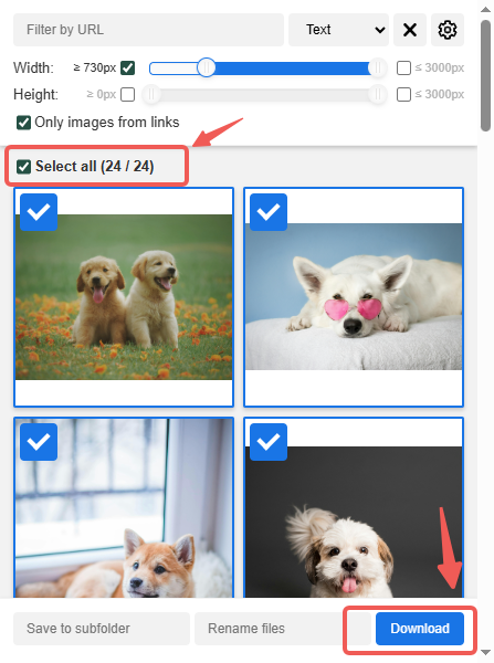 Sélectionner et télécharger sur Image Downloader