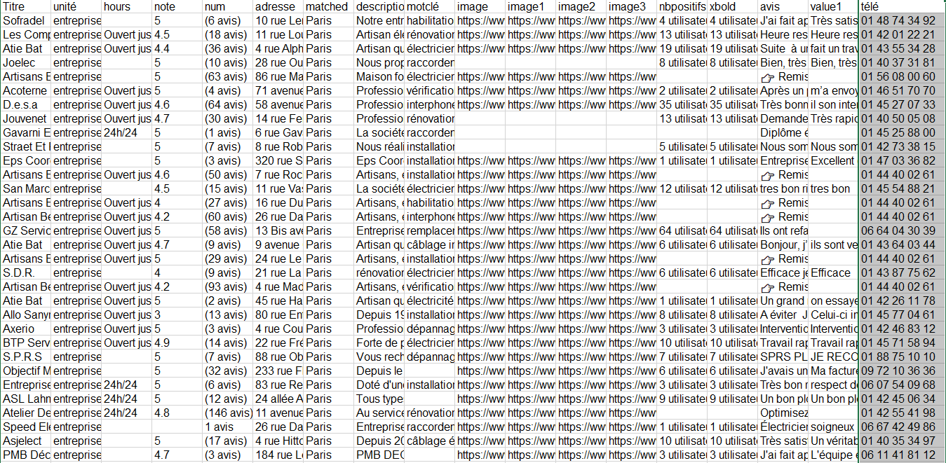 Les numéros de téléphone extraits par Octoparse