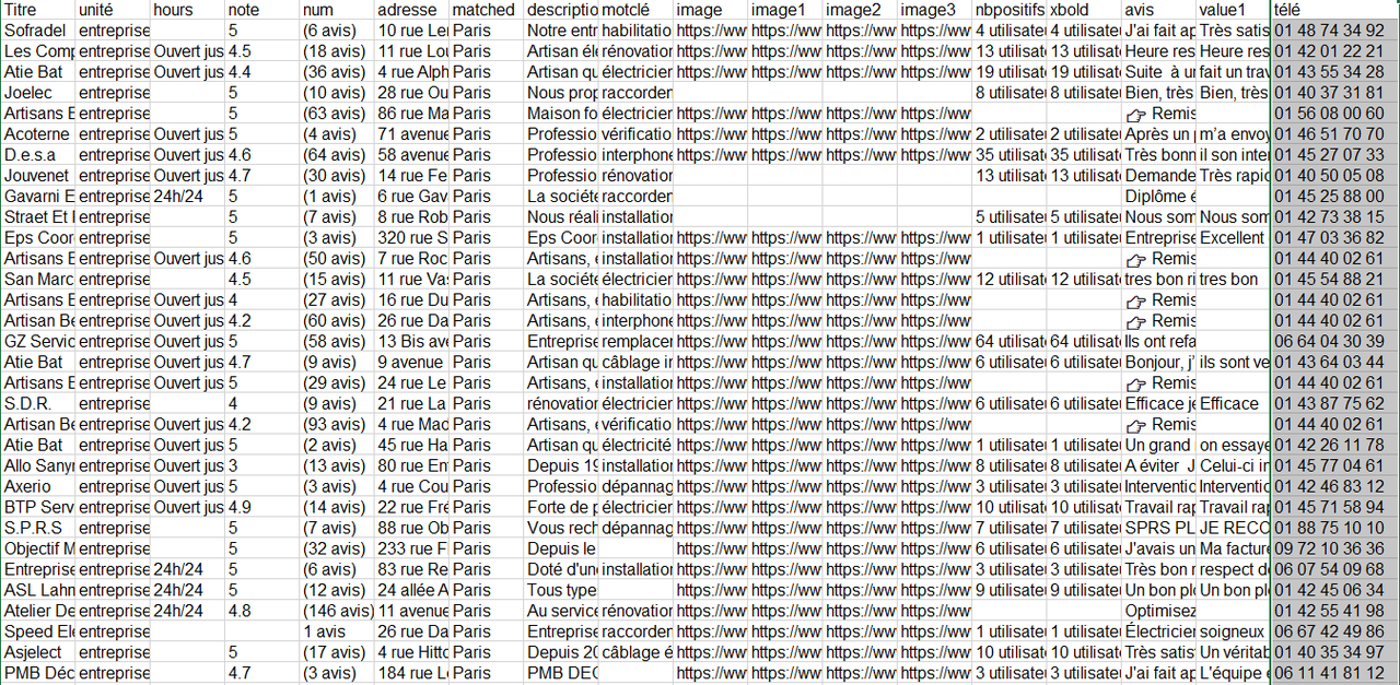 Les numéros de téléphone extraits par Octoparse