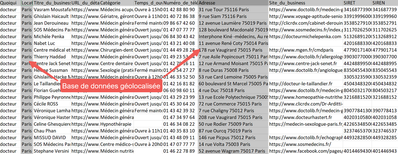 Données exportées des Pages Jaunes par PagesJaunes Business Info Scraper d'Octoparse