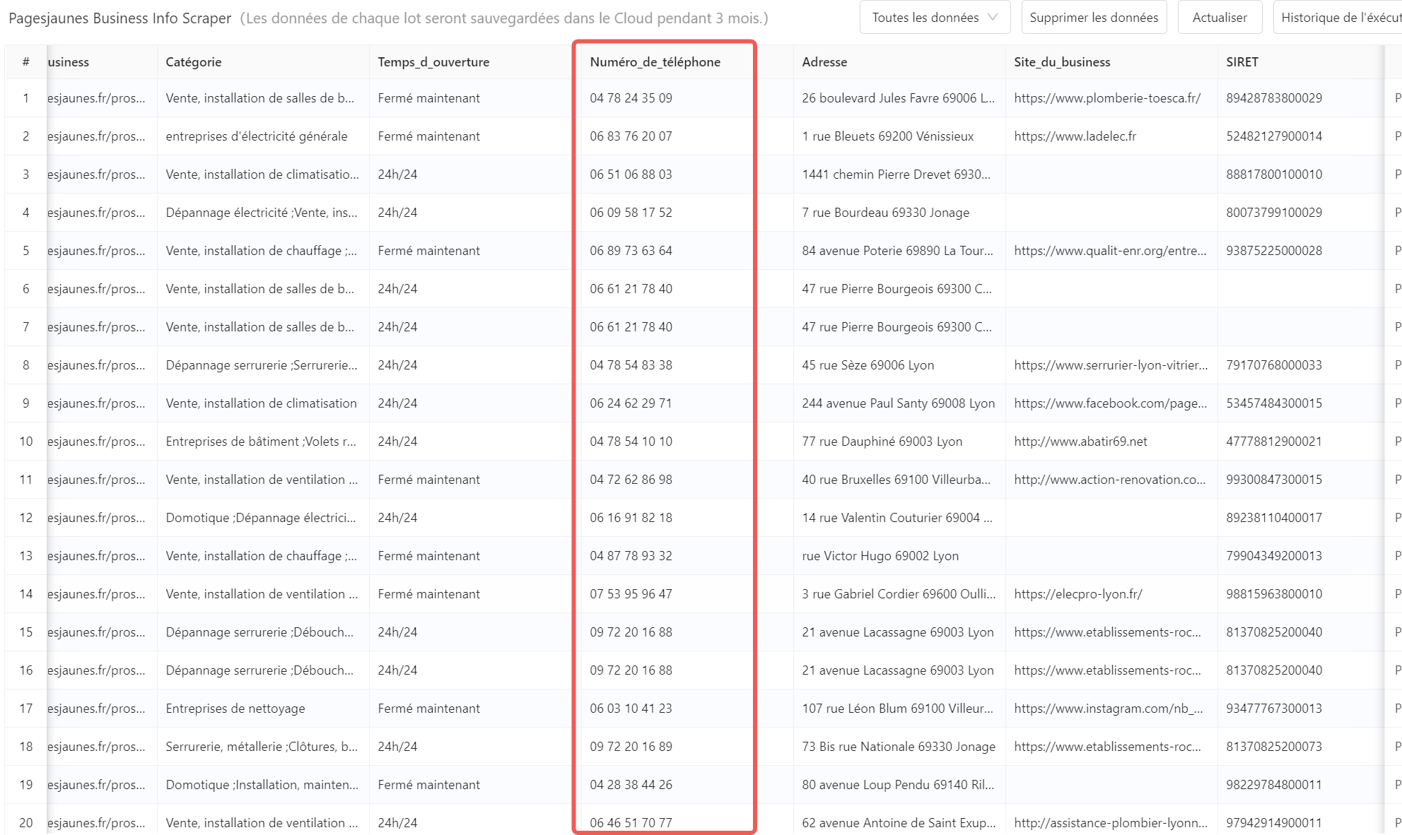 Export Octoparse des données PagesJaunes en Excel : tableau avec numéros de téléphone, adresses, horaires et sites web d'entreprises locales