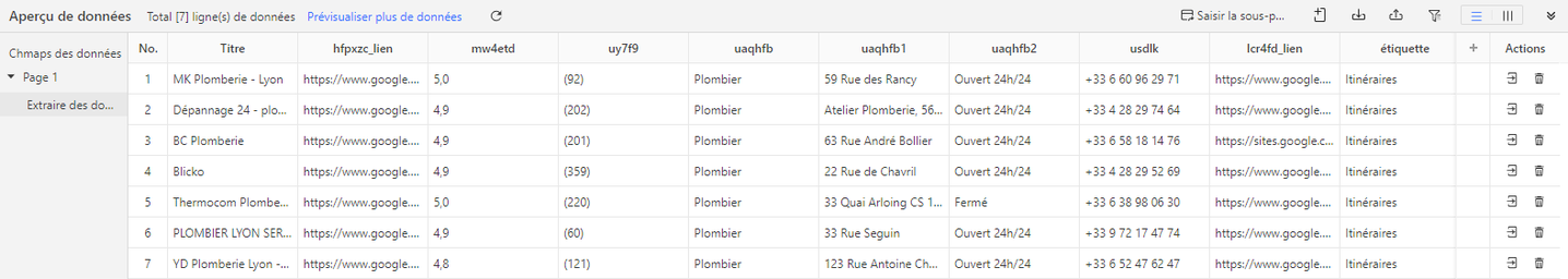 Exemple de données entreprises extraites de Google Maps avec Octoparse : noms, adresses, téléphones, notes, GPS