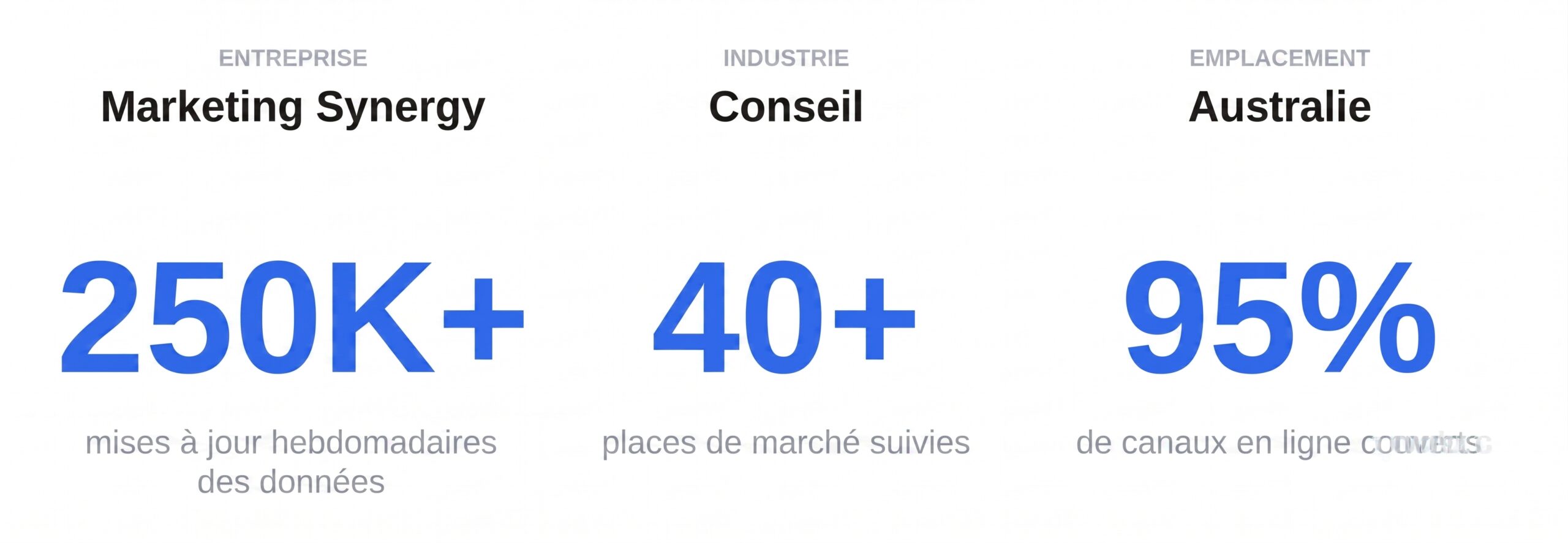 Scraping de données avec Octoparse pour Marketing Synergy