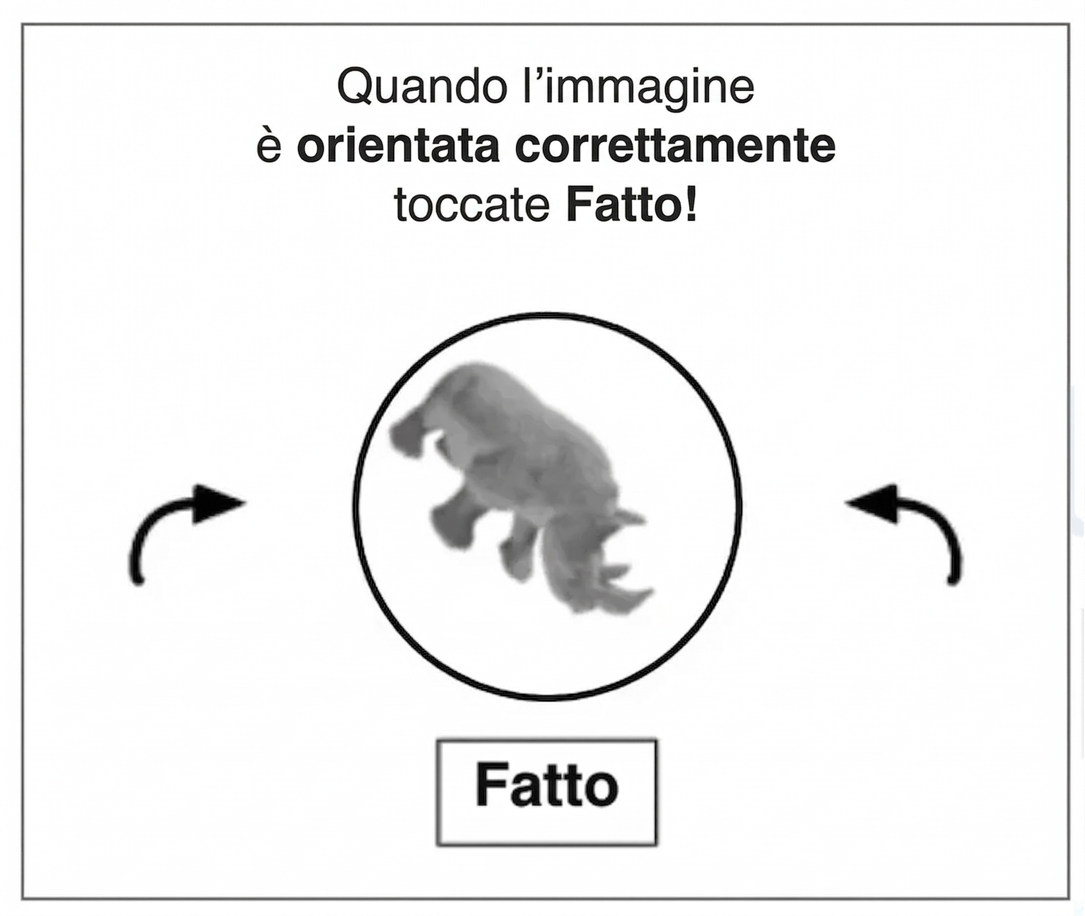 I rotate CAPTCHA appaiono su varie piattaforme. La sfida su come estrarre dati da una pagina web è sempre la stessa: trascinare uno slider finché l'immagine non è dritta. Facile per gli umani, brutale per i bot.