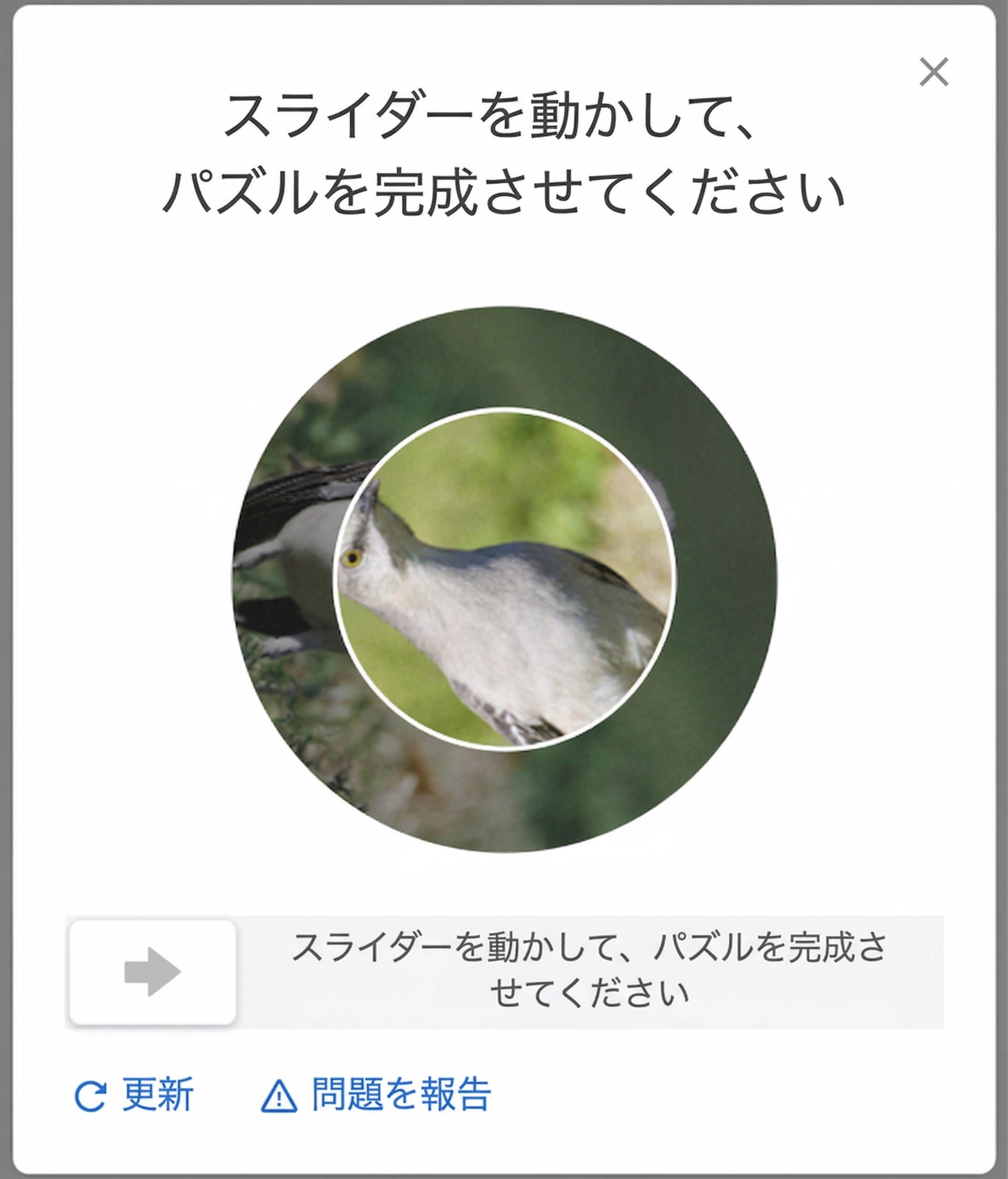 画像回転キャプチャの例